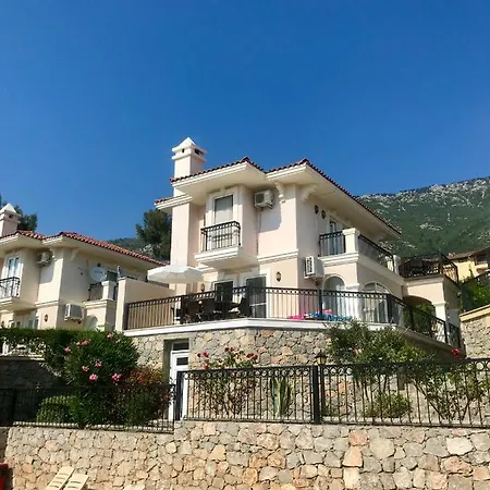 Artemisia * Ovacık