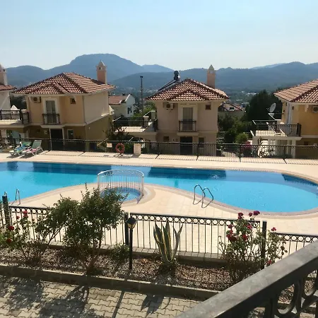 Artemisia * Ovacik (Fethiye)